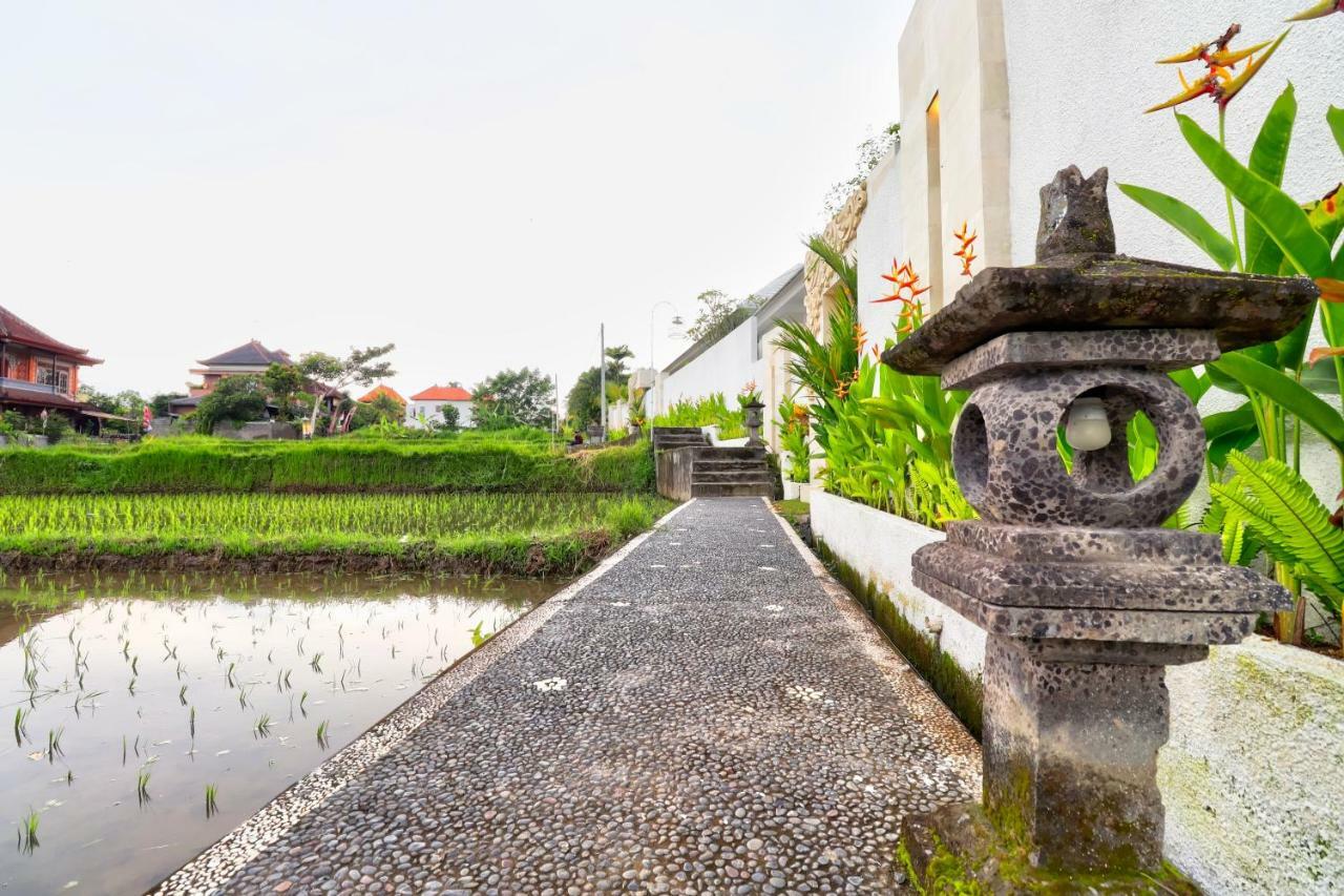 Villa Tirta Padi 2 Ubud Buitenkant foto