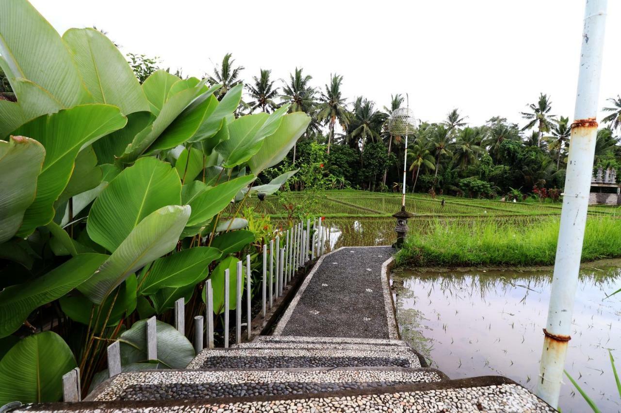 Villa Tirta Padi 2 Ubud Buitenkant foto