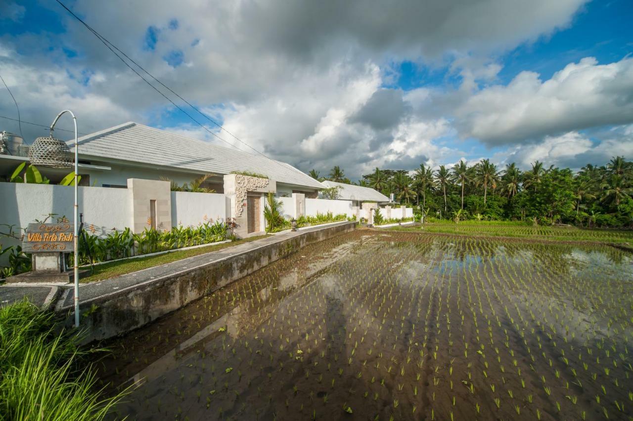 Villa Tirta Padi 2 Ubud Buitenkant foto